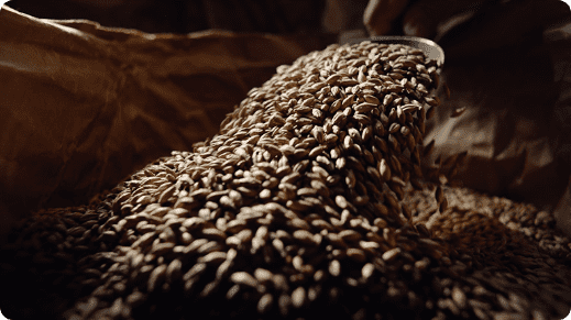 素材のこだわり 麦芽