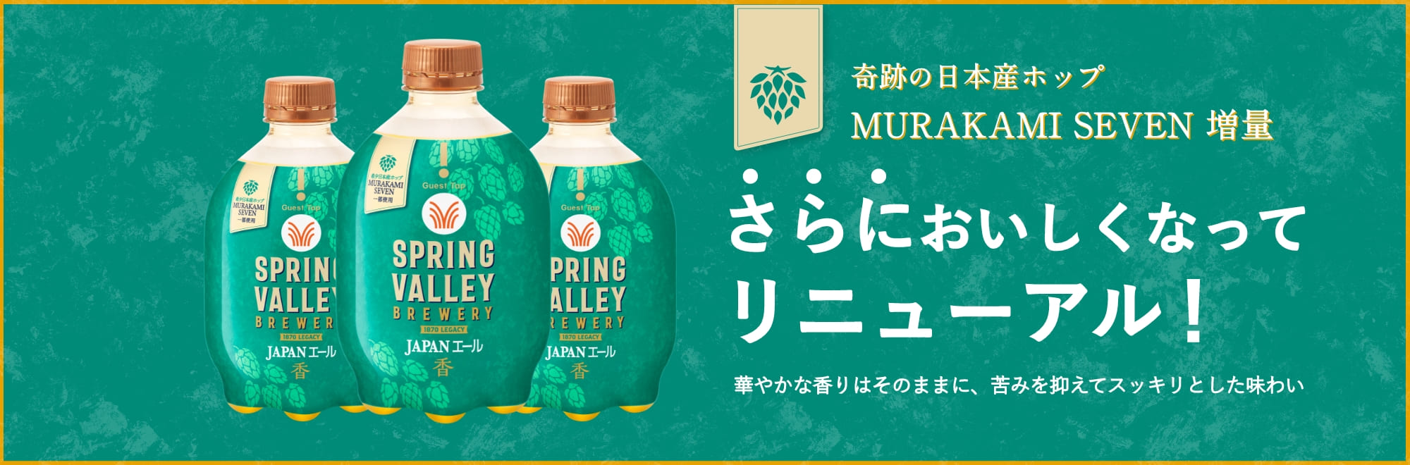 奇跡の日本産ホップ MURAKAMI SEVEN 増量 さらにおいしくなってリニューアル！ 華やかな香りはそのままに、苦みを抑えてスッキリとした味わい