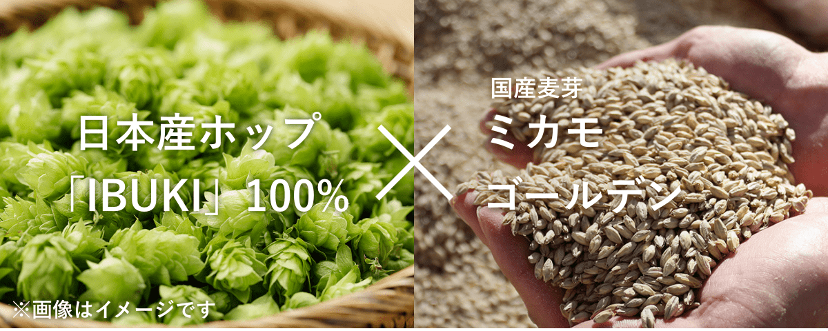 日本産ホップ「IBUKI」100% × 国産麦芽 ミカモゴールデン※画像はイメージです